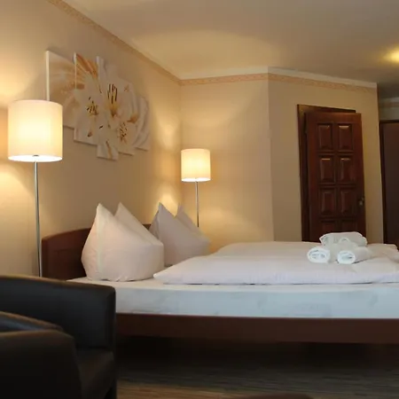 Guest house Zlaty Lev 3*